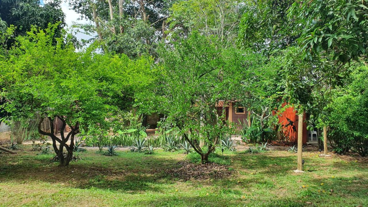 Alto Paraíso de Goiás Free Soul House - Localizacao Ideal No Centrinho מראה חיצוני תמונה