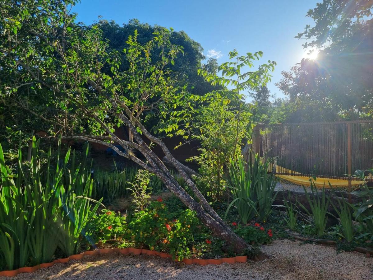 Alto Paraíso de Goiás Free Soul House - Localizacao Ideal No Centrinho מראה חיצוני תמונה